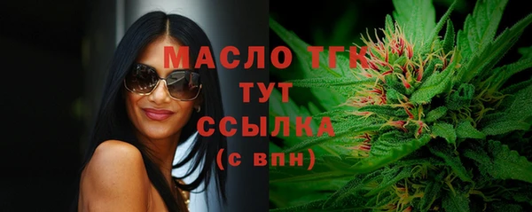 шишки Каменка