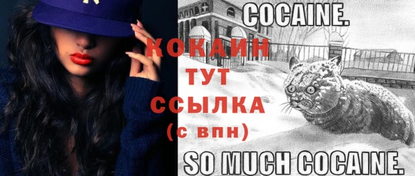 Альфа ПВП Инсар